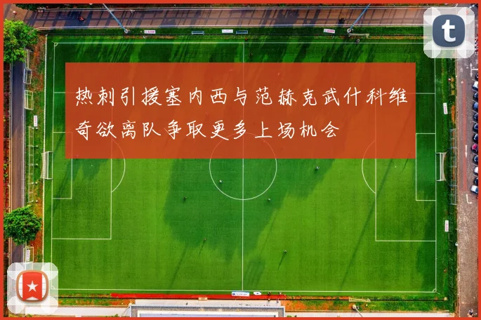 热刺引援塞内西与范赫克武什科维奇欲离队争取更多上场机会
